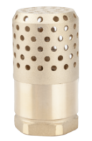 Foot Valve