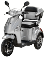 Electric Trycicle TRP800-1 / P[W]: 800; C: Argintiu