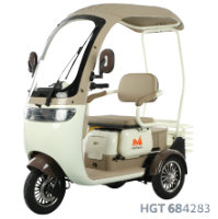 Electric Passenger Tricycle with Open Cabin Dotos TRP1000CD EvoTools® / C: White/Brown