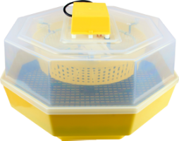 Electric Incubator