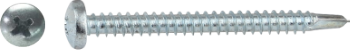 Autoforant Cross Recessed Screw