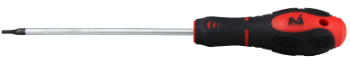 Torx with Security Hole