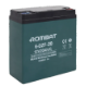Electric Vehicle Battery