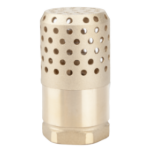 Foot Valve