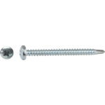 Autoforant Cross Recessed Screw